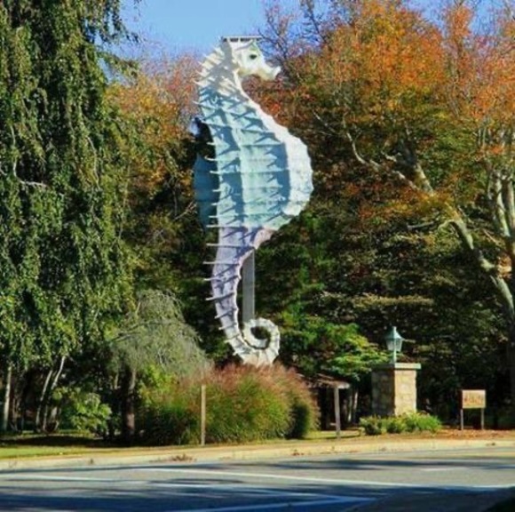 Meet your Posher, Luanne - Picture 1 of 1